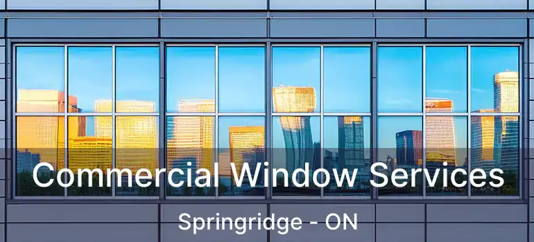  Commercial Window Services Springridge - ON