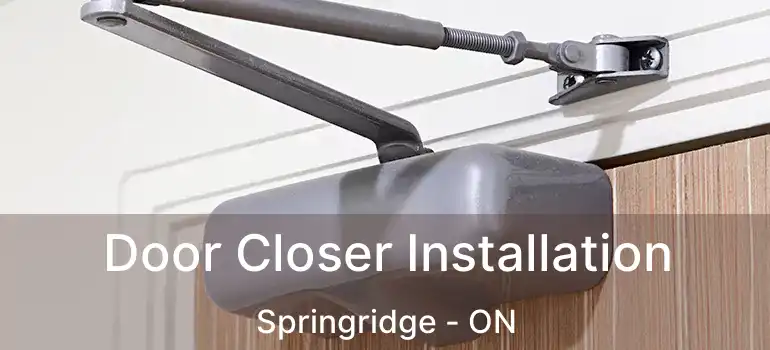  Door Closer Installation Springridge - ON