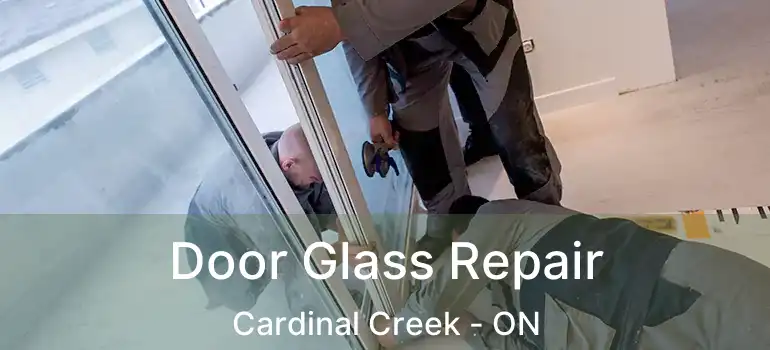  Door Glass Repair Cardinal Creek - ON
