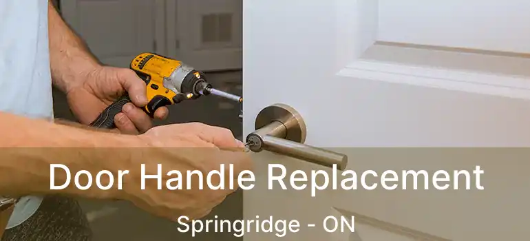  Door Handle Replacement Springridge - ON