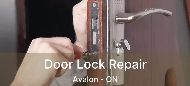  Door Lock Repair Avalon - ON
