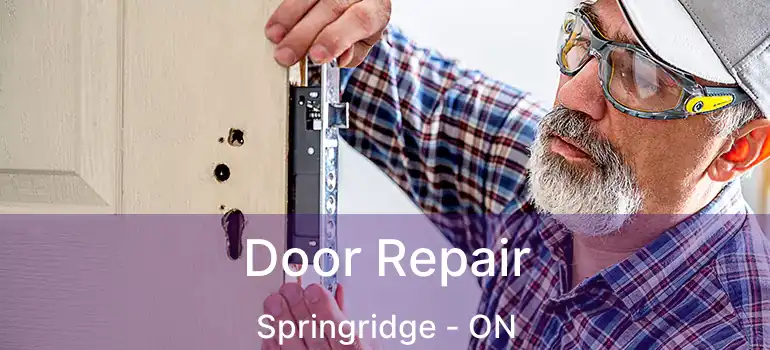  Door Repair Springridge - ON