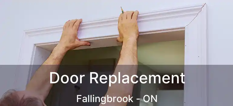  Door Replacement Fallingbrook - ON