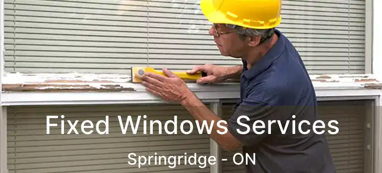  Fixed Windows Services Springridge - ON