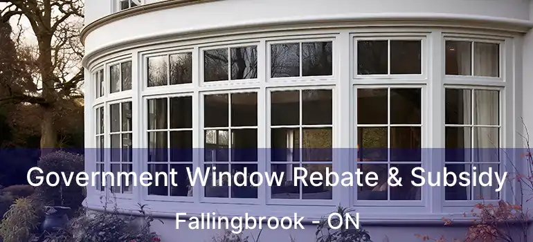  Government Window Rebate & Subsidy Fallingbrook - ON