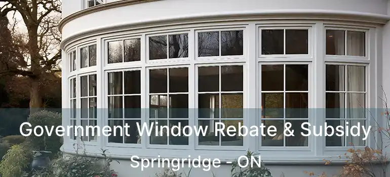  Government Window Rebate & Subsidy Springridge - ON