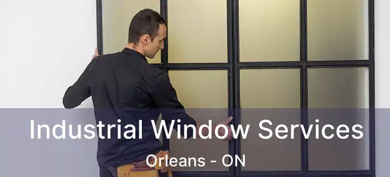  Industrial Window Services Orleans - ON