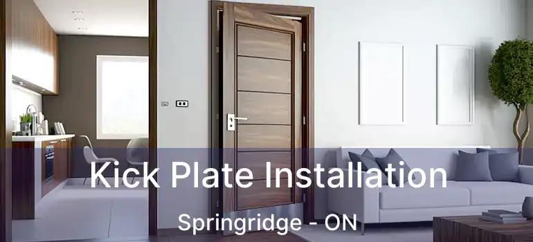  Kick Plate Installation Springridge - ON