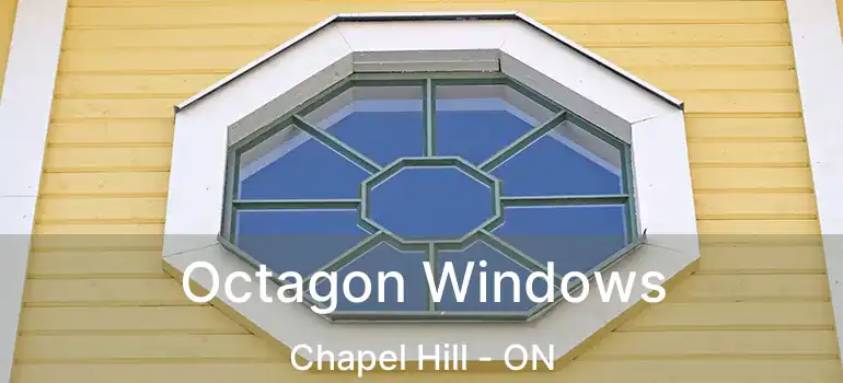  Octagon Windows Chapel Hill - ON