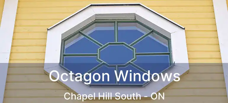  Octagon Windows Chapel Hill South - ON