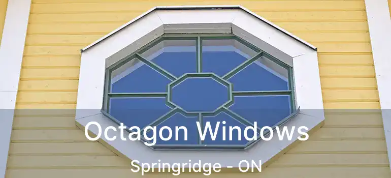  Octagon Windows Springridge - ON