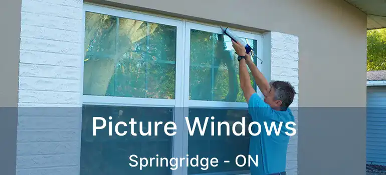  Picture Windows Springridge - ON