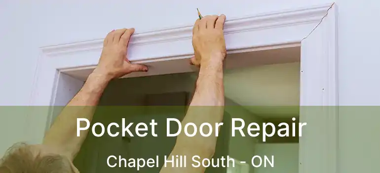  Pocket Door Repair Chapel Hill South - ON