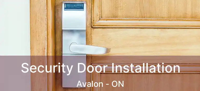  Security Door Installation Avalon - ON