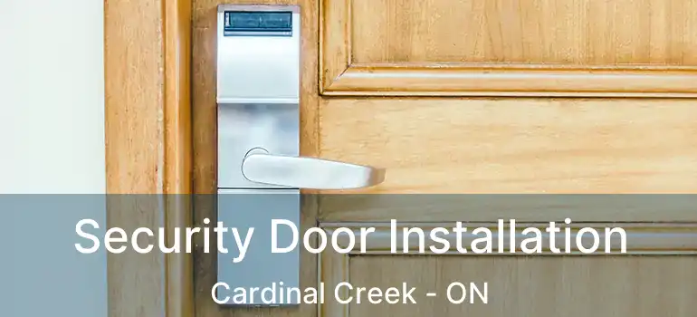  Security Door Installation Cardinal Creek - ON