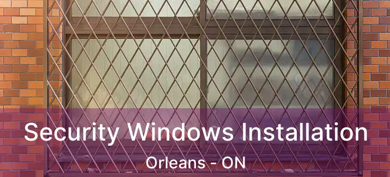  Security Windows Installation Orleans - ON