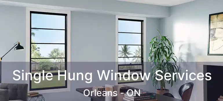  Single Hung Window Services Orleans - ON