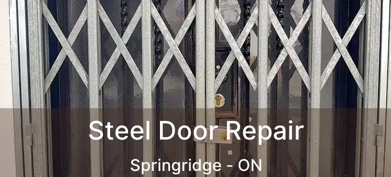  Steel Door Repair Springridge - ON