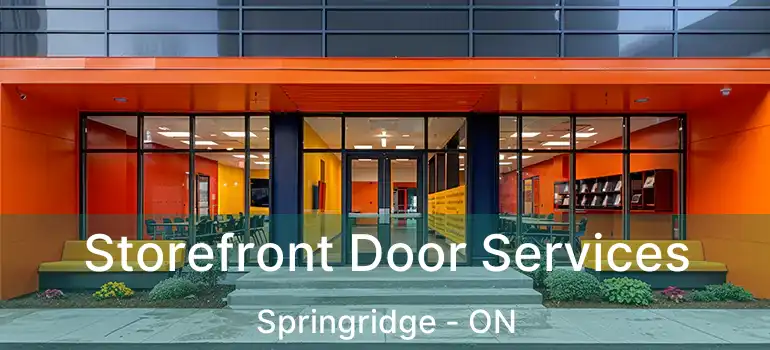  Storefront Door Services Springridge - ON