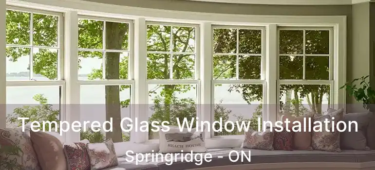  Tempered Glass Window Installation Springridge - ON