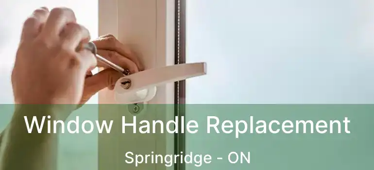  Window Handle Replacement Springridge - ON