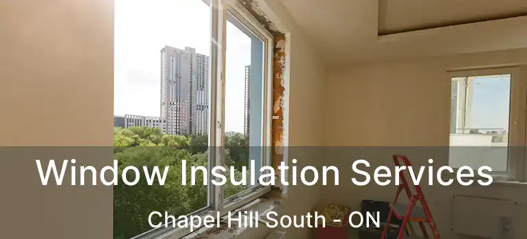  Window Insulation Services Chapel Hill South - ON