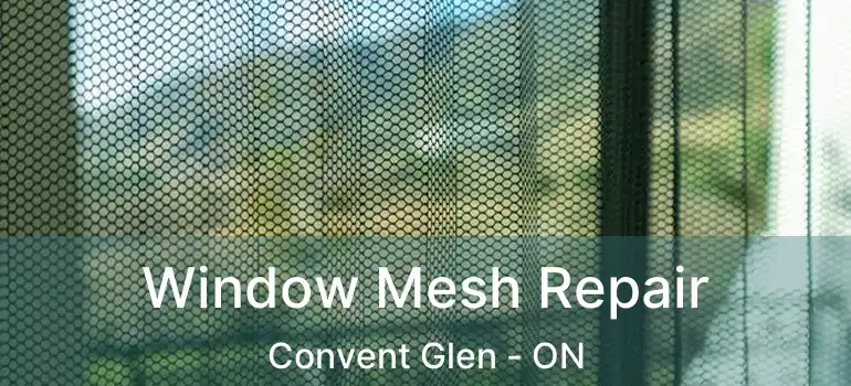  Window Mesh Repair Convent Glen - ON