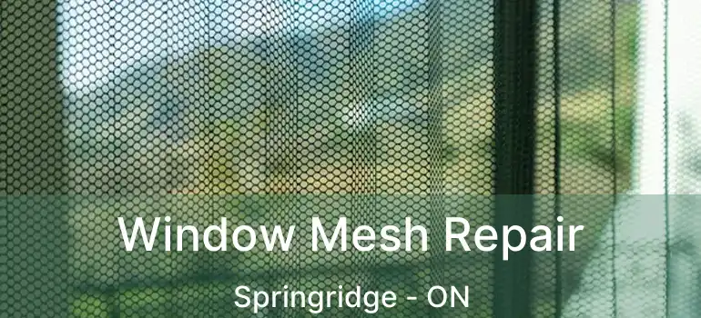  Window Mesh Repair Springridge - ON