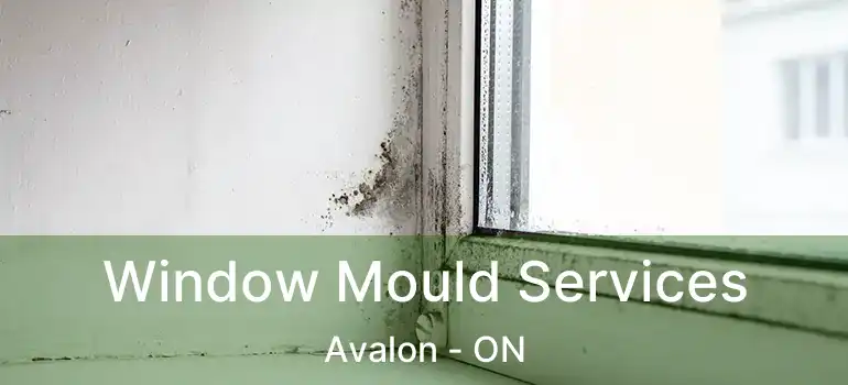  Window Mould Services Avalon - ON