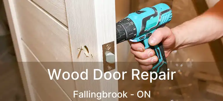  Wood Door Repair Fallingbrook - ON